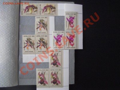 9 комплект  200 руб - 2010_10190009.JPG
