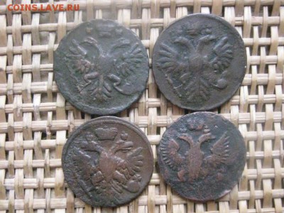 Деньга, 4 шт. 1731, 1735, 1738, 1746г. До 13.03.2016г. - 13 и 14 035.JPG