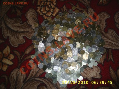 монеты их очень много 1241 шт - S4010003.JPG