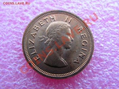 -Юж.Африка- 1 фартинг 1957(фауна) -- 22,10 22-00 - PICT0761.JPG