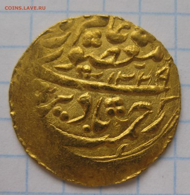 Тилла, Бухарский эмират золото - IMG_5840.JPG