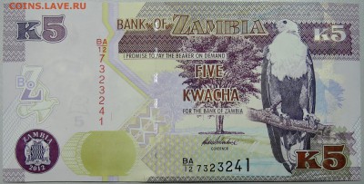 ЗАМБИЯ - 5 квач 2012 г. пресс до 14.03 в 22:00 - DSCN3317.JPG