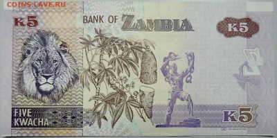 ЗАМБИЯ - 5 квач 2012 г. пресс до 14.03 в 22:00 - DSCN3318.JPG