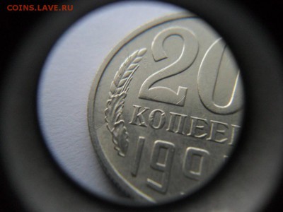 Скол по всему колосу. - SAM_7630.JPG