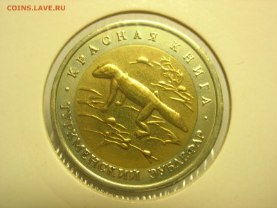 Красная книга 50 рублей 1993 Зублефар до 22:00 14.03.2016 - DSCN7729.JPG