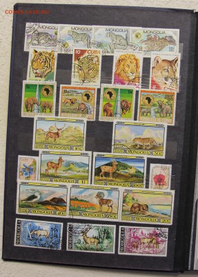 Альбом с коллекцией Флора и Фауна 578 марок до 13.03 - IMG_7441.JPG