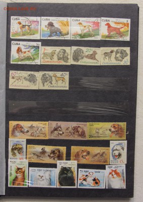 Альбом с коллекцией Флора и Фауна 578 марок до 13.03 - IMG_7440.JPG