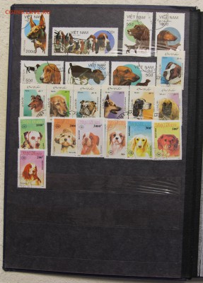 Альбом с коллекцией Флора и Фауна 578 марок до 13.03 - IMG_7439.JPG