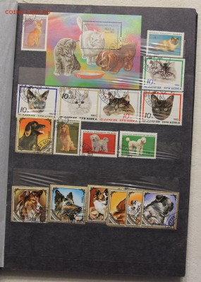 Альбом с коллекцией Флора и Фауна 578 марок до 13.03 - IMG_7438.JPG