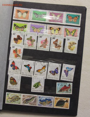 Альбом с коллекцией Флора и Фауна 578 марок до 13.03 - IMG_7446.JPG