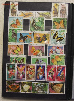 Альбом с коллекцией Флора и Фауна 578 марок до 13.03 - IMG_7445.JPG