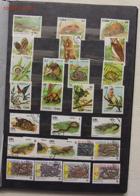Альбом с коллекцией Флора и Фауна 578 марок до 13.03 - IMG_7442.JPG