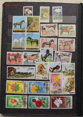 Альбом с коллекцией Флора и Фауна 578 марок до 13.03 - IMG_7451.JPG