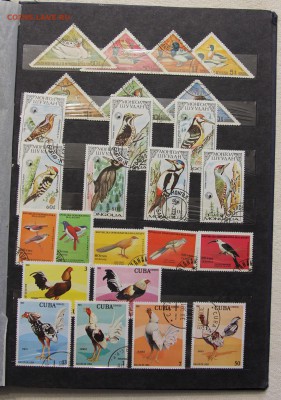 Альбом с коллекцией Флора и Фауна 578 марок до 13.03 - IMG_7450.JPG