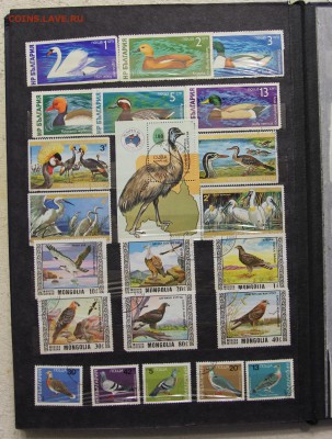 Альбом с коллекцией Флора и Фауна 578 марок до 13.03 - IMG_7449.JPG