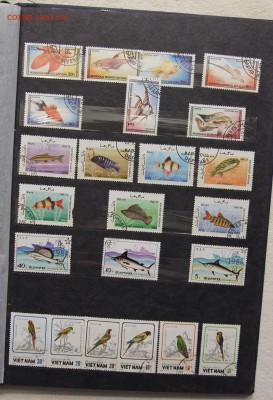 Альбом с коллекцией Флора и Фауна 578 марок до 13.03 - IMG_7448.JPG