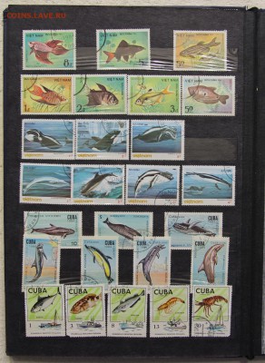 Альбом с коллекцией Флора и Фауна 578 марок до 13.03 - IMG_7447.JPG