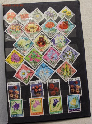 Альбом с коллекцией Флора и Фауна 578 марок до 13.03 - IMG_7456.JPG