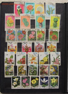 Альбом с коллекцией Флора и Фауна 578 марок до 13.03 - IMG_7455.JPG