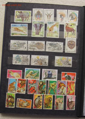 Альбом с коллекцией Флора и Фауна 578 марок до 13.03 - IMG_7453.JPG