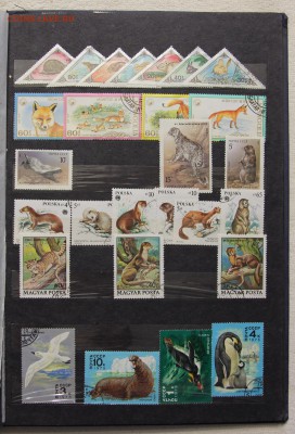 Альбом с коллекцией Флора и Фауна 578 марок до 13.03 - IMG_7452.JPG