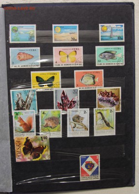 Альбом с коллекцией Флора и Фауна 578 марок до 13.03 - IMG_7460.JPG