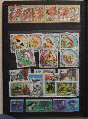 Альбом с коллекцией Флора и Фауна 578 марок до 13.03 - IMG_7459.JPG