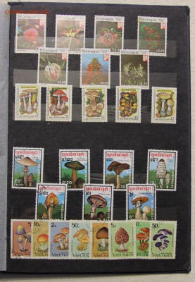 Альбом с коллекцией Флора и Фауна 578 марок до 13.03 - IMG_7458.JPG