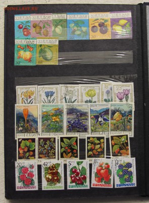Альбом с коллекцией Флора и Фауна 578 марок до 13.03 - IMG_7457.JPG