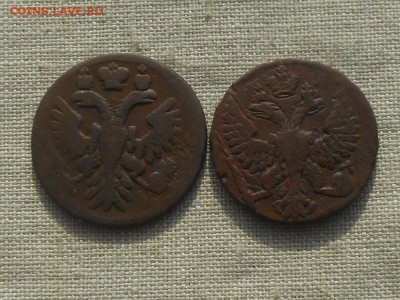 денга 1736,49 до 14.03.2016 в 22-00 МСК - RSCN5961.JPG