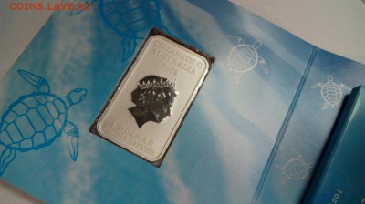 1$ Мечты черепахи до 14.03  с 200 рублей - FOYfGCOjF4M