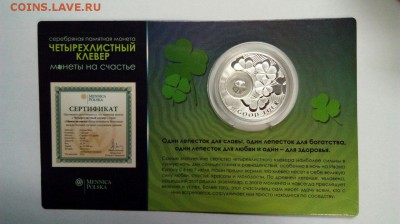 1$ Четырехлистный клевер до 14.03 с 200 рублей - ZwcSbjtObH0