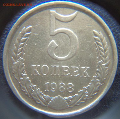 5 копеек 1988 чекан в гуртовом кольце со сколом? - DSC03848.JPG