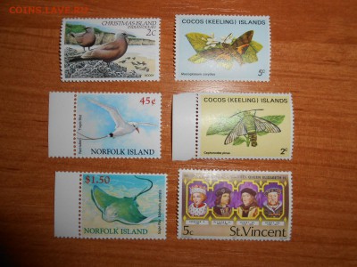 Острова содружества Великобритании, чистые, до 15.03.2016 - DSCN4311.JPG