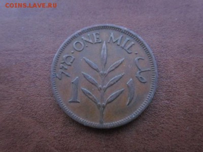 1927 Палестина, 1 М, до 14.03 в 22-15 мск - IMG_5303.JPG