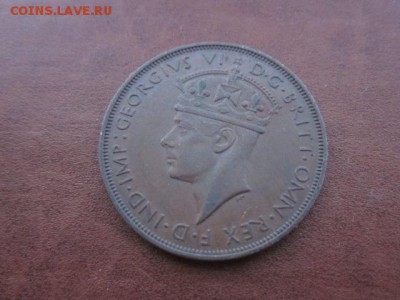 1947 Джерси, до 14.03 в 22-15 мск - IMG_5290.JPG
