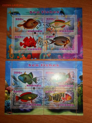 Морские рыбы, 4 малых листа, до 15.03.2016 - DSCN4210.JPG