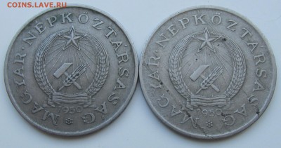2 форинта 1950 Венгрия - IMG_7099.JPG