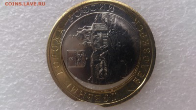 Белозерск.  Двойная вырубка,смещение,2выкуса. - DSC_1530