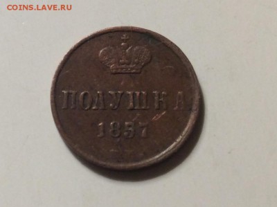 Полушка 1857г до 13.03-23:00мск - image