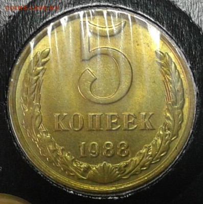 5 копеек 1980-1991гг яркая погодовка мешкового UNC до 13.03. - 2011-03-14 06-56-26.JPG