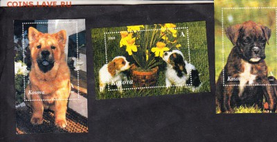 Косово 2000 собаки 3 блока - 37
