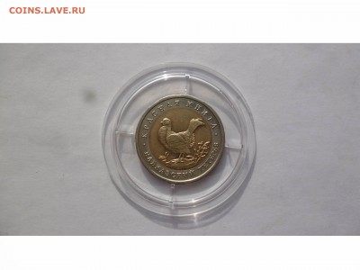 КРАСНАЯ  книга 1993г. ТЕТЕРЕВ в капсуле  до 21-30 14.03.16 - товар 6079