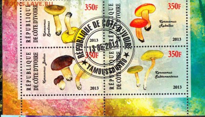 Берег Сл Кости 2013 грибы - 69