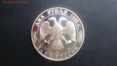 2 рубля 1995 Грибоедов 15.03 22-00 - DSC_0048.JPG