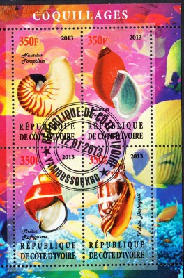 Берег Сл кости 2013 раковины - 88