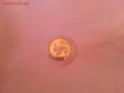 1 рубль Краснозобая казарка 1994 до 16 марта 2016 года Мск - 20160313_094216