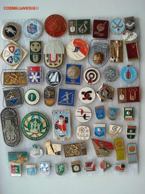 Спорт разный, цена фиксированная -  10 рублей - Спорт 3_thumb