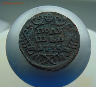 Полушка 1731г.(перечекан с копейки) 15.03.2016г. 22-00 мск. - DSC01247.JPG