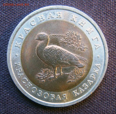 Красная книга 1992 год (Тигр-Кобра-Казарка) до 18.03.2016 - Казарка-1-1
